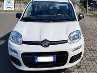 Usata Fiat Panda Easy 69 CV (50 kW) 2015 Bianco Utilitaria