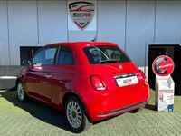 Usata Fiat 500 Lounge 69 CV (50 kW) 2021 Rosso Utilitaria