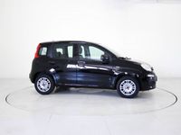 usata Fiat Panda 3ª serie 1.0 FireFly S&S Hybrid