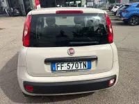 Usata Fiat Panda Easy 95 CV (69 kW) 2017 Other Utilitaria