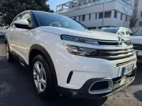 Usata Citroën C5 Aircross Business Class 131 CV (96 kW) 2019 Bianco SUV