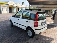 Usata Fiat Panda 2009 Utilitaria