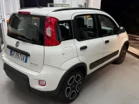 Usata Fiat Panda S 71 CV (52 kW) 2022 Bianco Utilitaria