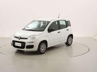 Usata Fiat Panda Easy 69 CV (50 kW) 2020 Bianco Utilitaria