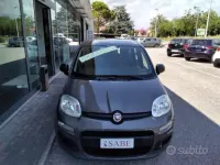Usata Fiat Panda S 69 CV (50 kW) 2021 Grigio Utilitaria