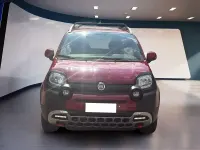 Usata Fiat Panda Cross Cross 95 CV (69 kW) 2015 Rosso Utilitaria