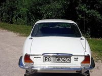 Usata Jaguar XJ6 1981 Bianco Berlina