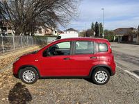 Usata Fiat Panda S 69 CV (50 kW) 2024 Utilitaria