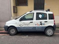 Usata Fiat Panda 60 CV (44 kW) 2008 Utilitaria