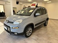 Usata Fiat Panda 4x4 S 95 CV (69 kW) 2018 Grigio Utilitaria