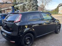 Usata Fiat Punto Lounge 75 CV (55 kW) 2014 Nero Utilitaria