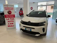 Usata Citroën C5 Aircross Feel 131 CV (96 kW) 2023 Bianco SUV