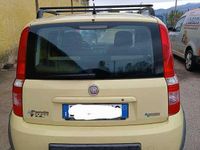 Usata Fiat Panda Climbing 60 CV (44 kW) 2008 Giallo Utilitaria