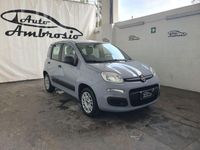 usata Fiat Panda 1.2 Easy usato