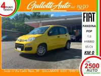 Nuova Fiat Panda Pop 65 CV (47 kW) 2026 Giallo positano (509) Utilitaria
