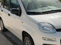 Usata Fiat Panda 70 CV (51 kW) 2021 Bianco Utilitaria