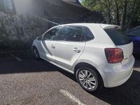 Usata VW Polo 75 CV (55 kW) 2009 Bianco Utilitaria