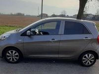 Usata Kia Picanto 67 CV (49 kW) 2016 Grigio Utilitaria