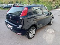 usata Fiat Punto 1.4 8V 5 porte Natural Power Street