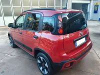 Usata Fiat Panda Cross Cross 70 CV (51 kW) 2024 Rosso Utilitaria