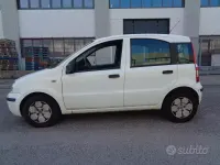 Usata Fiat Panda Dynamic 60 CV (44 kW) 2008 Bianco Utilitaria