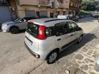 Usata Fiat Panda 75 CV (55 kW) 2013 Grigio Utilitaria
