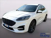 Usata Ford Kuga ST-Line X 190 CV (139 kW) 2023 Frozen white SUV