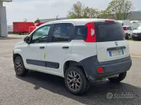 Usata Fiat Panda 4x4 Pop 86 CV (63 kW) 2019 Bianco Utilitaria