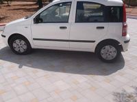 Usata Fiat Panda 54 CV (39 kW) 2009 Bianco Utilitaria