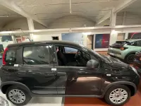Usata Fiat Panda S 69 CV (50 kW) 2024 Nero Utilitaria