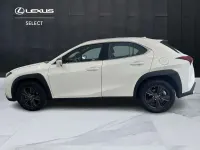 Usata Lexus UX 250h Luxury Line 184 CV (135 kW) 2023 Bianco SUV