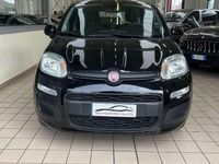 Usata Fiat Panda Easy 69 CV (50 kW) 2020 Nero Utilitaria