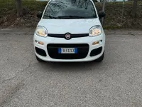 Usata Fiat Panda 85 CV (62 kW) 2015 Bianco Utilitaria