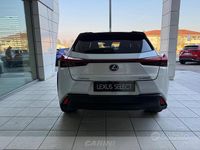 Usata Lexus UX 250h 184 CV (135 kW) 2021 Bianco SUV