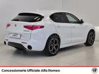 Usata Alfa Romeo Stelvio Ti 209 CV (153 kW) 2021 Bianco SUV