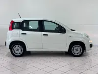 Usata Fiat Panda Easy 69 CV (50 kW) 2020 Bianco Utilitaria