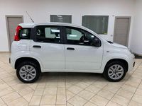 Usata Fiat Panda Easy 71 CV (52 kW) 2019 Bianco Utilitaria