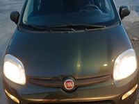 Usata Fiat Panda 4x4 85 CV (62 kW) 2019 Verde Utilitaria