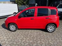 Usata Fiat Panda 69 CV (50 kW) 2020 Rosso Utilitaria