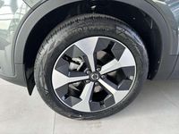 Nuova Volvo XC40 Plus 163 CV (119 kW) 2025 Verde SUV
