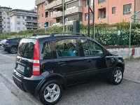 Usado Fiat Panda 4x4 60 CV (44 kW) 2009 Negro Utilitario
