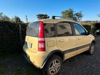 Usata Fiat Panda 4x4 37 CV (27 kW) 2007 Giallo Utilitaria