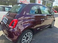 Usata Fiat 500 Lounge 69 CV (50 kW) 2018 Viola Berlina