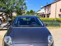 Usata Fiat Punto 95 CV (69 kW) 2016 Grigio Utilitaria
