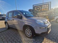 Usata Fiat Panda City Life 69 CV (50 kW) 2021 Grigio Utilitaria