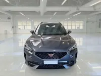 Usata Cupra Formentor 150 CV (110 kW) 2022 Grigio SUV