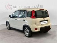 Usata Fiat Panda S 70 CV (51 kW) 2024 Bianco Utilitaria