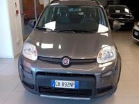 Usata Fiat Panda 4x4 S 84 CV (61 kW) 2020 Grigio Utilitaria