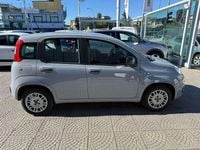 Usata Fiat Panda City Life 69 CV (50 kW) 2021 Grigio Utilitaria