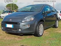 Usata Fiat Punto Evo 69 CV (50 kW) 2014 Grigio Utilitaria